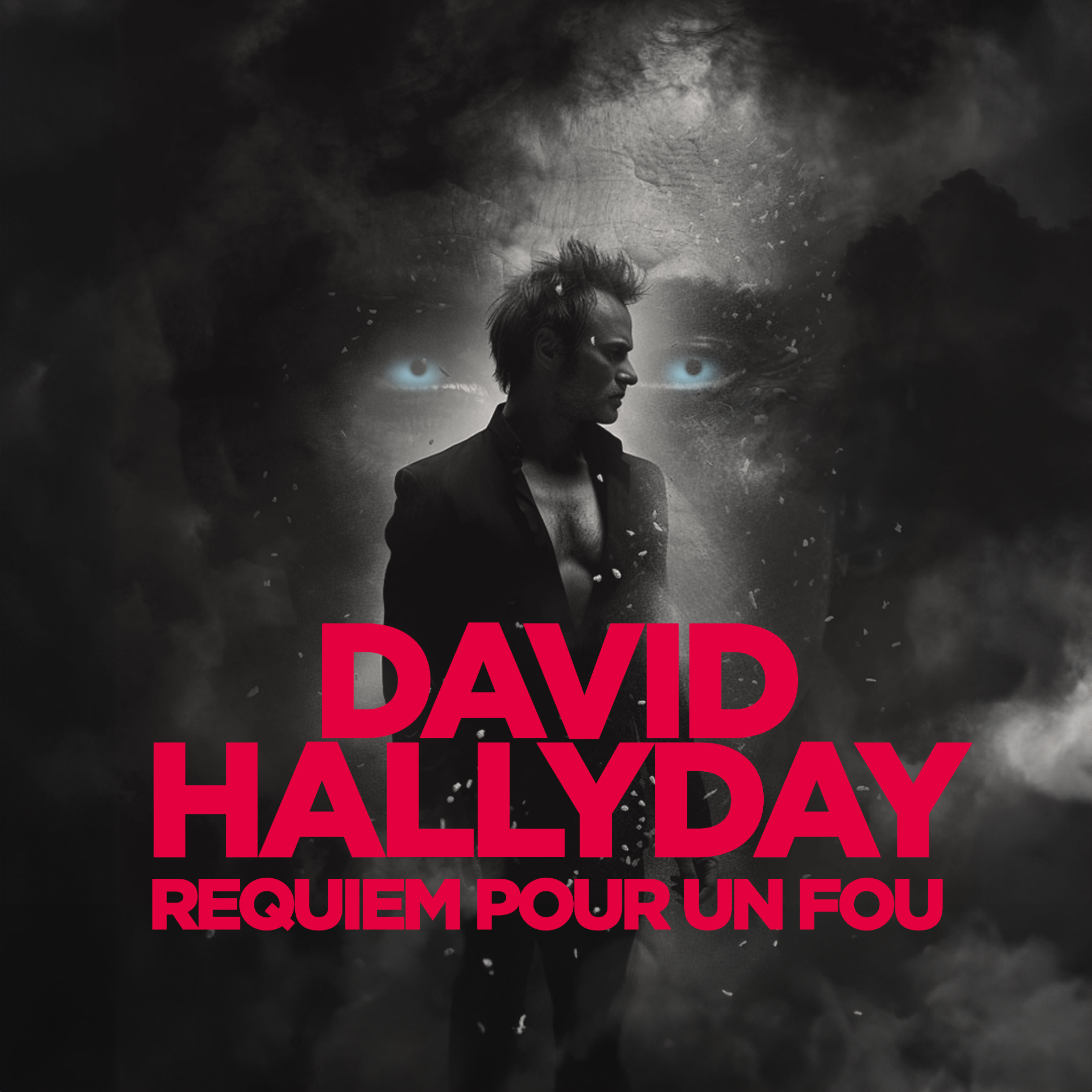 David hallyday
